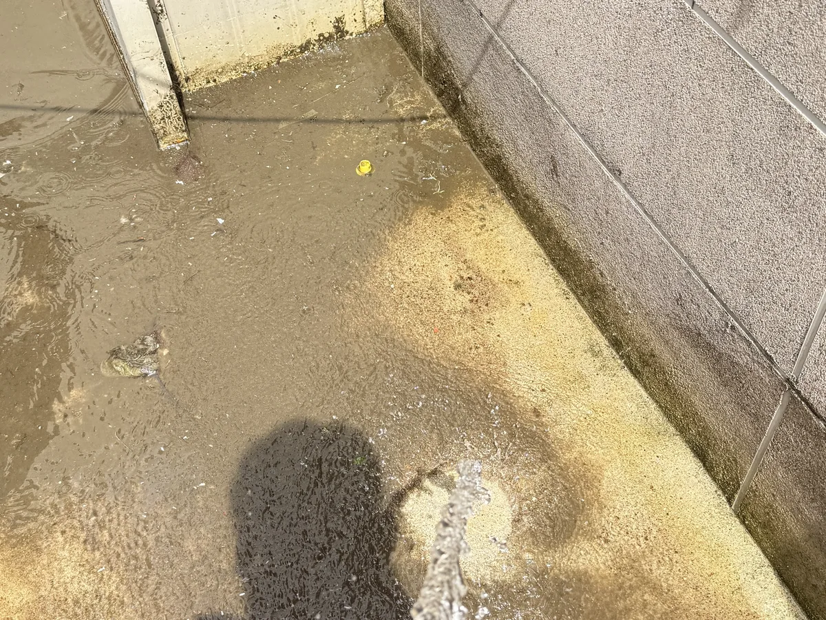 하남시 감북동 침수 현장 복도·대기 동선 야간 위생청소 사례 - 행진크린